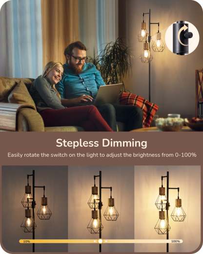 EDISHINE Dimmable Industrial Floor Lamp with 3 LED Edison Bulbs, Black-HFLDC2B