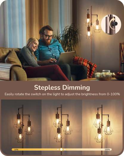 EDISHINE Dimmable Floor Lamp, Electroplated Brushed Red Copper-HFLDC2C-B2B