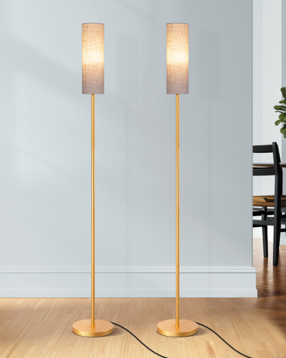 EDISHINE 2 Pack 65" 2700K-6000K Gold LED Corner Floor Lamp-ZHFLEC1A2