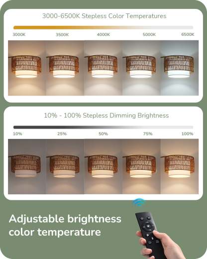 EDISHINE Arc Floor Lamp with 5 Color Temperatures with Remote & Dimmable Bulb-HFLEC3A-B2B