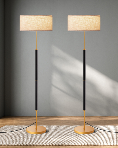 EDISHINE 2 Pack 63" Standard Floor Lamp-ZHFLEC5A2