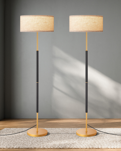 EDISHINE 2 Pack 63" Standard Floor Lamp-ZHFLEC5A2