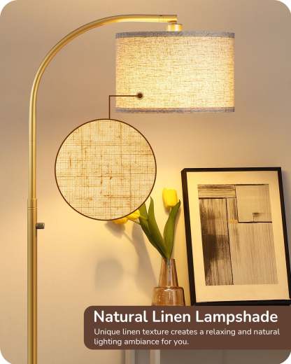 EDISHINE Dimmable Arched Floor Lamp, Gold-F1HFLED1A