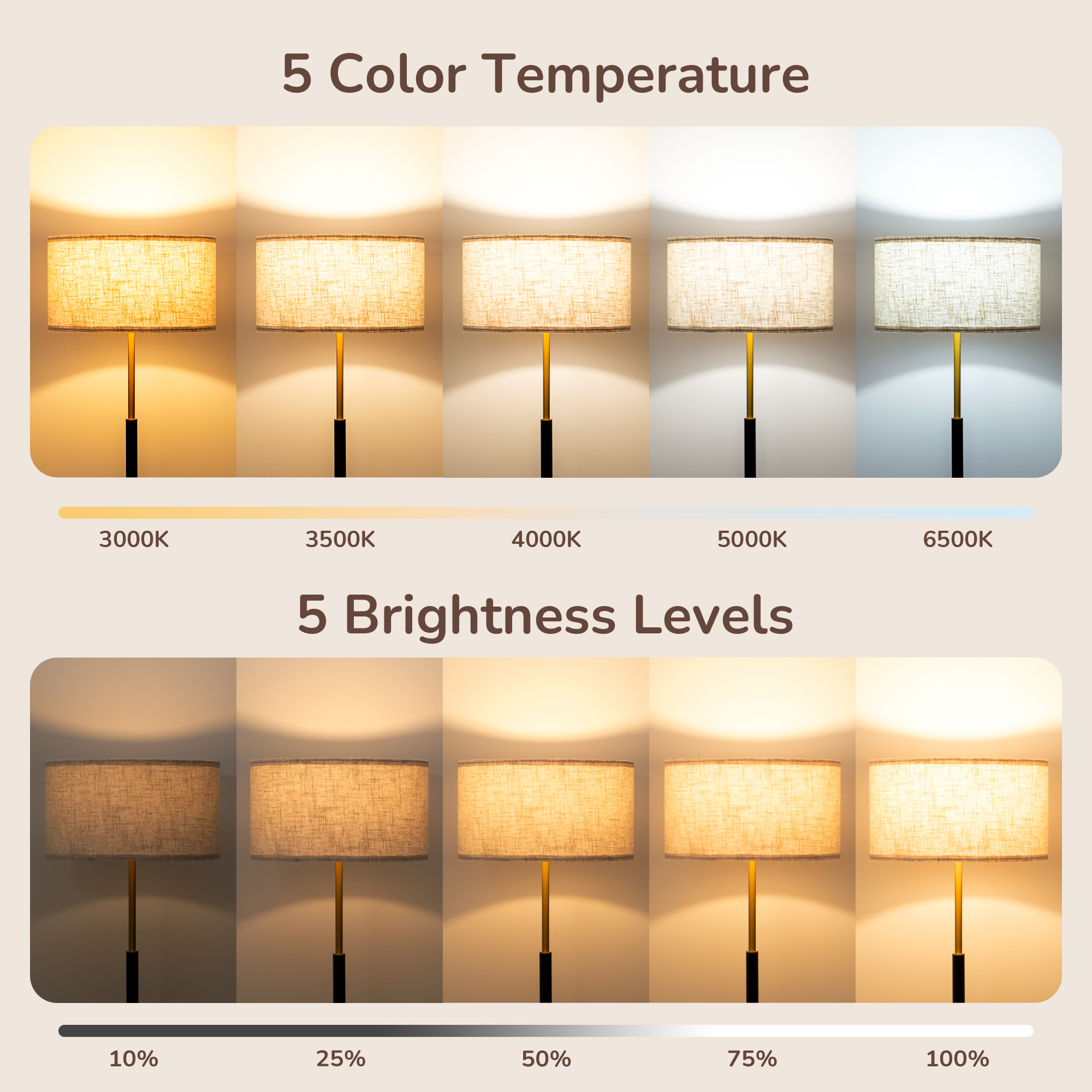 EDISHINE 65" Dimmable Standard Floor Lamp With Remote And Bulb Included-HFLFB1A