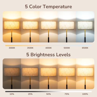 EDISHINE 65" Dimmable Standard Floor Lamp With Remote And Bulb Included-HFLFB1A