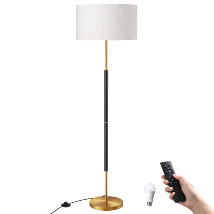 EDISHINE 65" Dimmable Standard Floor Lamp With Remote And Bulb Included-HFLFB1A