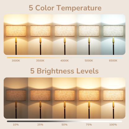 EDISHINE 61.8" Dimmable Standard Floor Lamp With Remote And Bulb Included-HFLFC2A