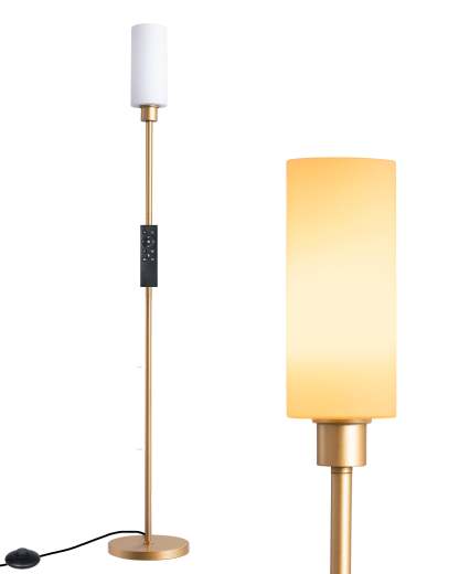 EDISHINE 2 Pack 65" Gold Dimmable LED Corner Floor Lamp with Remote-ZHFLG09D2
