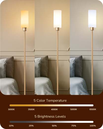 EDISHINE 2 Pack 65" Gold Dimmable LED Corner Floor Lamp with Remote-ZHFLG09D2