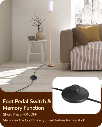 EDISHINE 2 Pack 65" Gold Dimmable LED Corner Floor Lamp with Remote-ZHFLG09D2