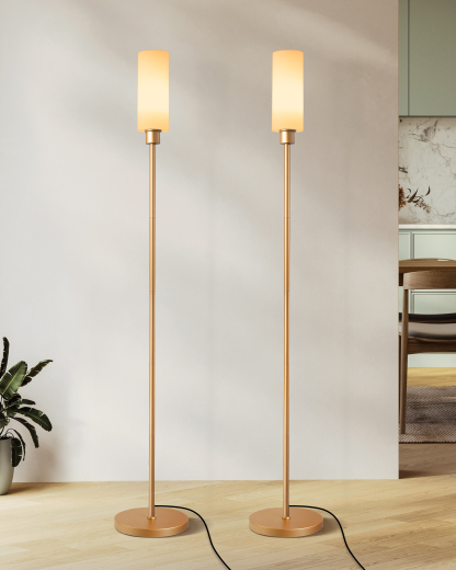 EDISHINE 2 Pack 65" Gold Dimmable LED Corner Floor Lamp with Remote-ZHFLG09D2