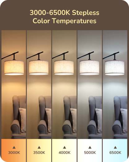 EDISHINE 63.8" Dimmable Black Floor Lamp with Remote Control-HFLK54B