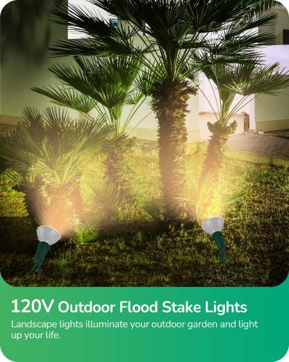 EDISHINE 120° Adjustable Outdoor Spotlights with 6FT Cord (2 Pack)-WHGSL11B
