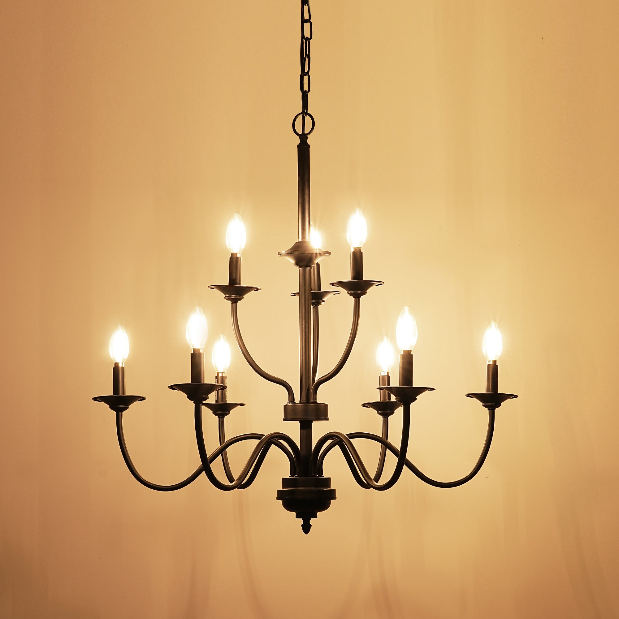 EDISHINE Traditional Chandelier,Dimmable-HHPL15C