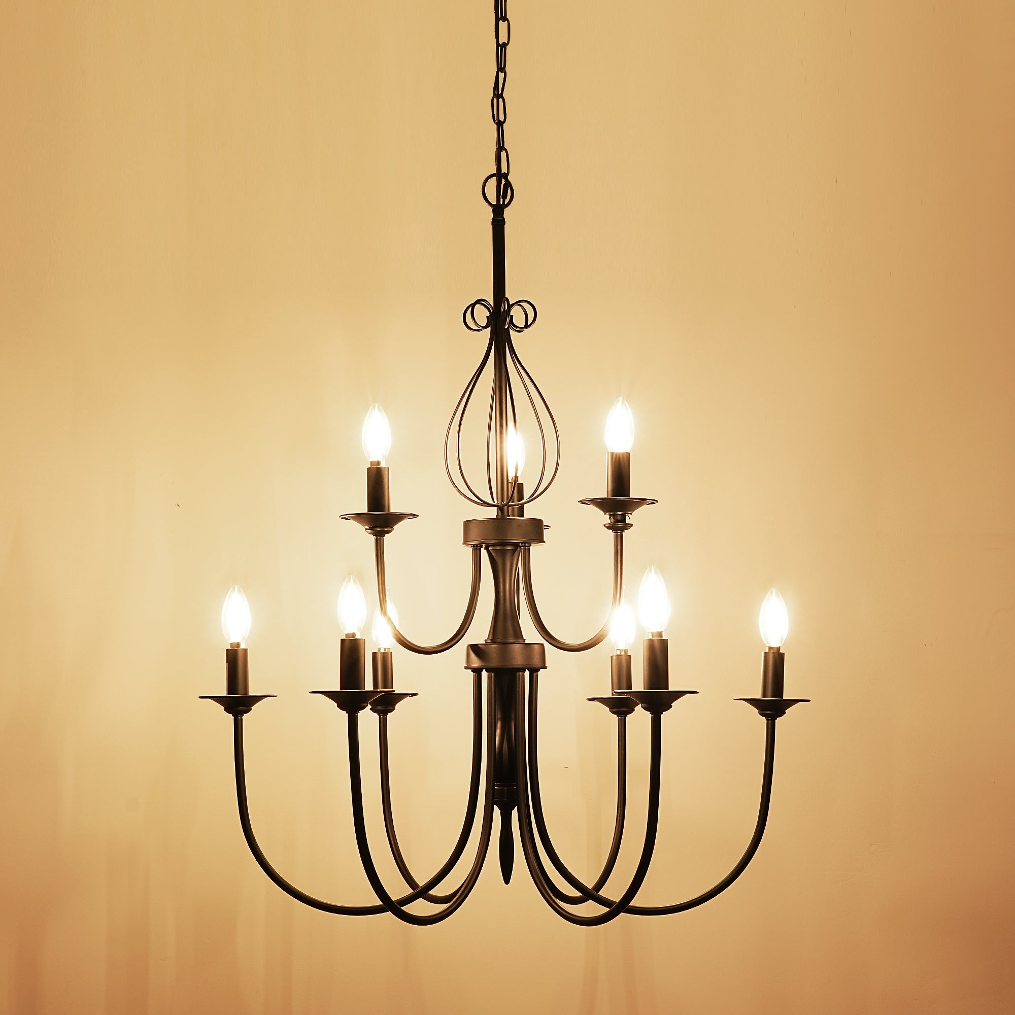 EDISHINE Traditional Chandelier,Dimmable-HHPL15D