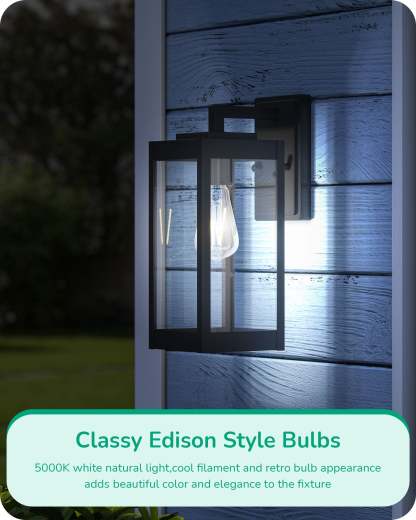 EDISHINE Non-dimmable 8W Dusk to Dawn Edison Light Bulb with 240° Beam Angle & E26 Base (6 Pack)-HLST64B