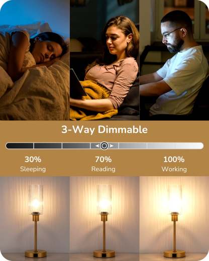 EDISHINE Bedside Lamp, Touch Control, USB C+A Charging Ports, 3 Way Dimmable, Gold-HLTL08D-B2B