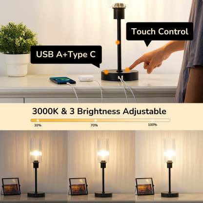 EDISHINE Dimmable Glass Table Lamp,Touch Control,USB Ports,Black-HLTL08E