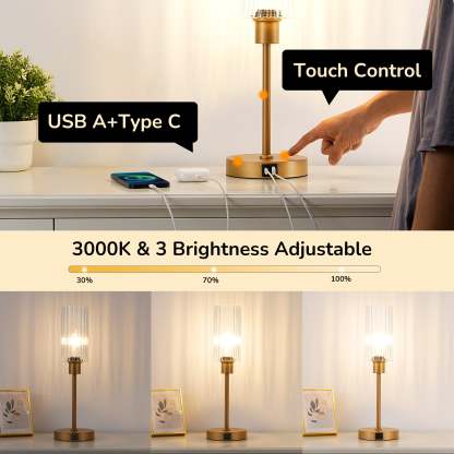 EDISHINE Dimmable Glass Table Lamp,Touch Control,USB Ports,Gold-HLTL08F