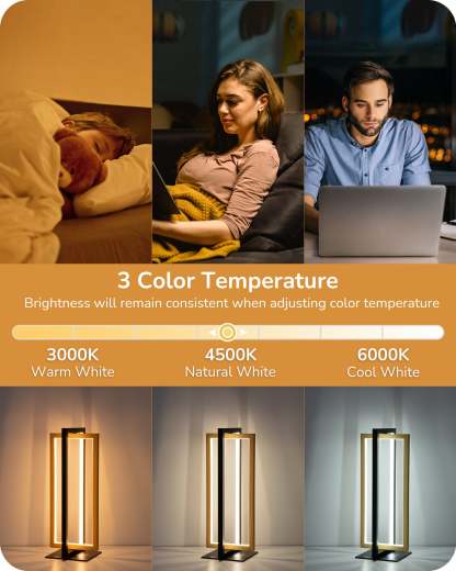 EDISHINE Minimalist  Stepless Dimmable LED Table Lamp with 3 Color Temperature-HLTL12D