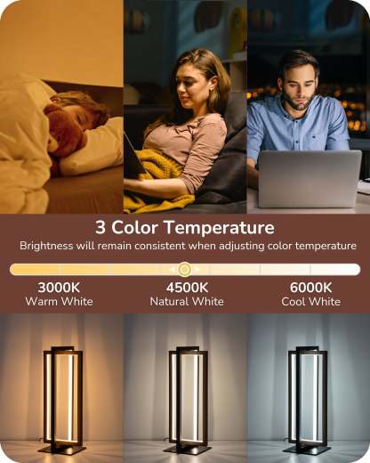 EDISHINE Modern Stepless Dimmable LED Table Lamp-HLTL12F