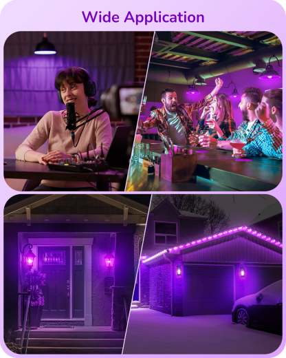 缺货下架EDISHINE A19 14W Purple Light Bulbs, 4 Pack-HNCA19F