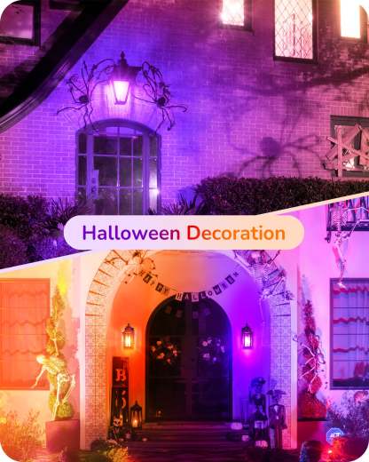 缺货下架EDISHINE A19 14W Purple Orange Light Bulbs, 4 Pack-HNCA19H