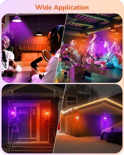 缺货下架EDISHINE A19 14W Purple Orange Light Bulbs, 4 Pack-HNCA19H