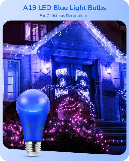 EDISHINE A19 14W Blue Light Bulbs, 4 Pack-HNCA19N