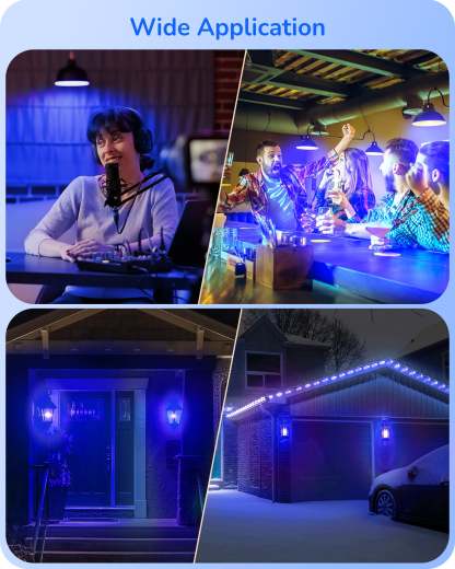 EDISHINE A19 14W Blue Light Bulbs, 4 Pack-HNCA19N