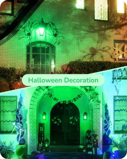 EDISHINE A19 14W Green Light Bulbs, 4 Pack-HNCA19M-B2B