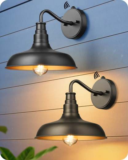 EDISHINE 2-Pack Gooseneck Dusk to Dawn Outdoor Wall Lights-HOWL02F