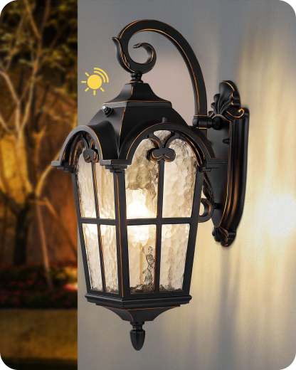 EDISHINE Dusk to Dawn Outdoor Wall Lights-F1HOWL06N