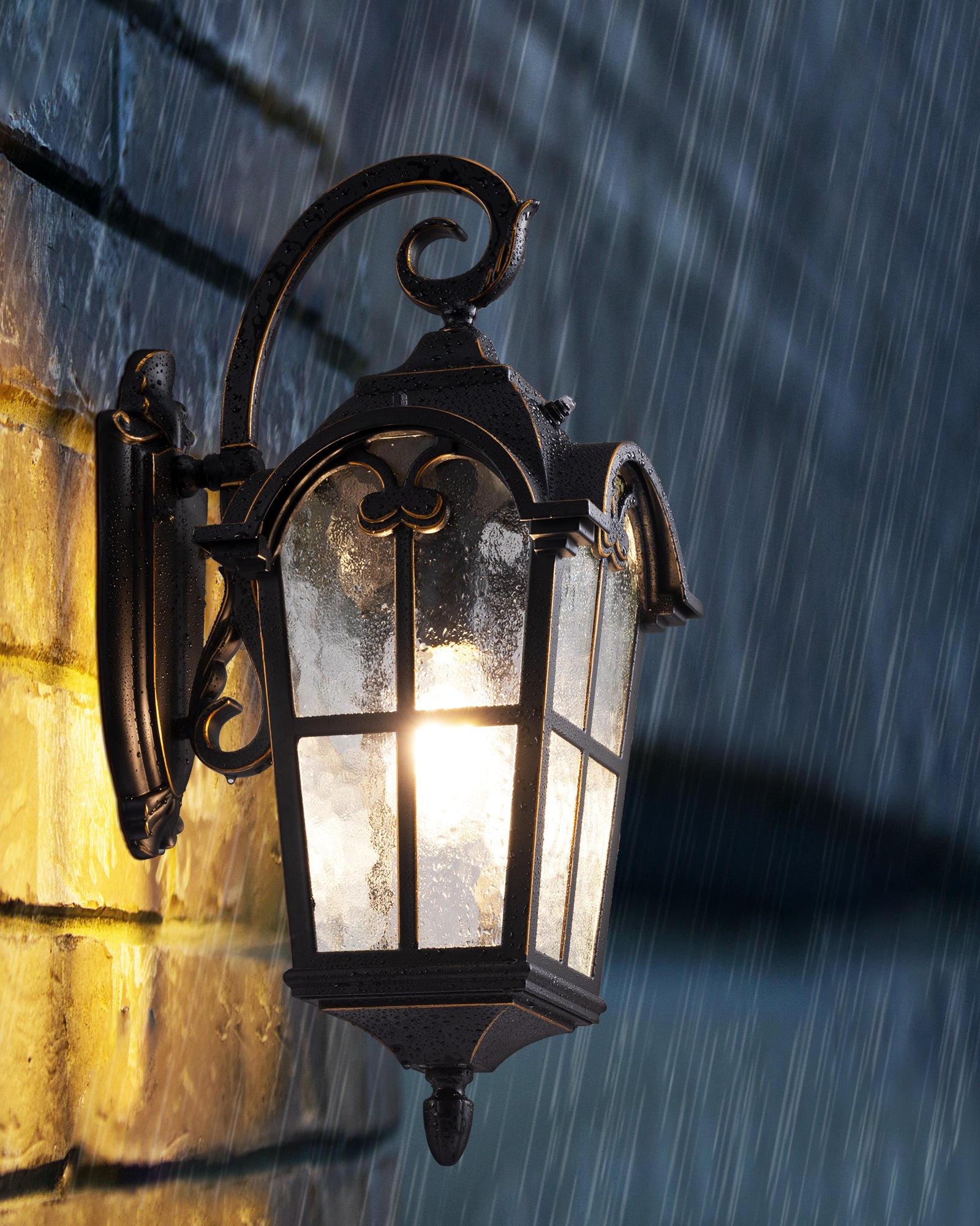 EDISHINE Dusk to Dawn Outdoor Wall Lights-F2HOWL06N