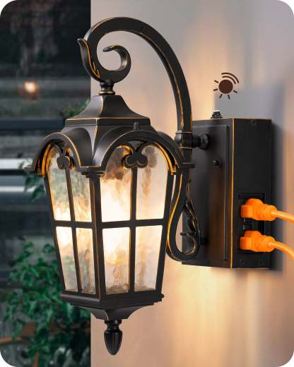 EDISHINE Dusk to Dawn Outdoor Wall Lights-F1HOWL09R