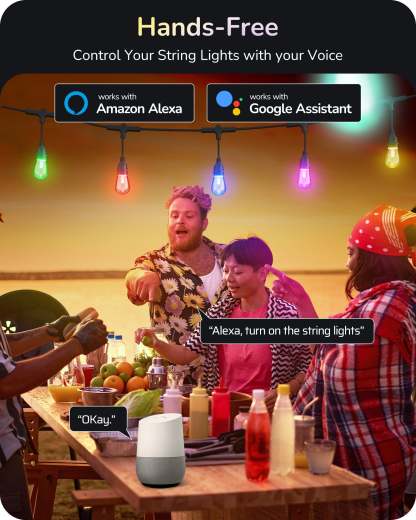 EDISHINE Smart String Lights, 48FT Outdoor Patio Lights with 18 RGB LED Bulbs-HSLW01A-B2B