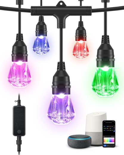 EDISHINE 48ft Smart Dimmable String Lights-HSLW01B1-B2B