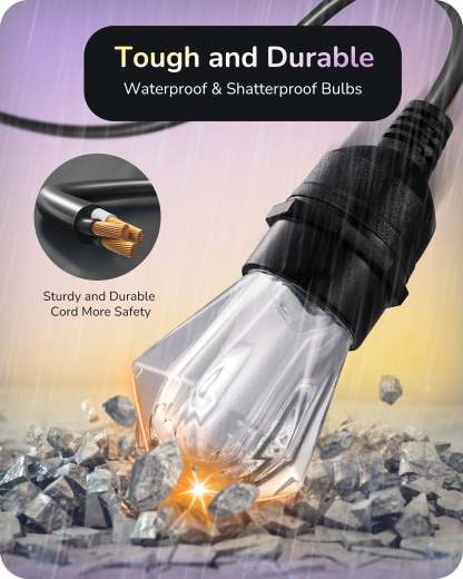 EDISHINE 48ft Smart Dimmable String Lights-HSLW01B1-B2B