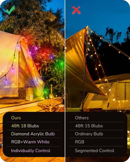 EDISHINE 48ft Smart Dimmable String Lights-HSLW01B1-B2B