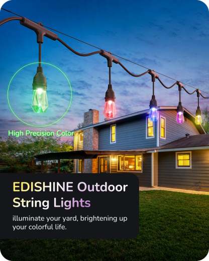 EDISHINE 48ft Smart Dimmable String Lights-HSLW01B1-B2B