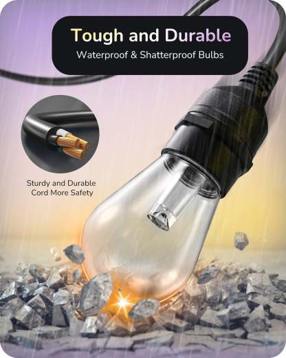 EDISHINE 96FT Smart String Lights, Outdoor String Lights with 36 RGB LED Bulbs-HSLW01C-B2B
