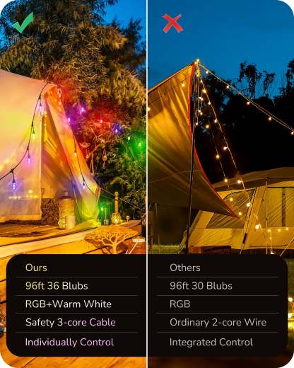EDISHINE 96FT Smart String Lights, Outdoor String Lights with 36 RGB LED Bulbs-HSLW01C-B2B