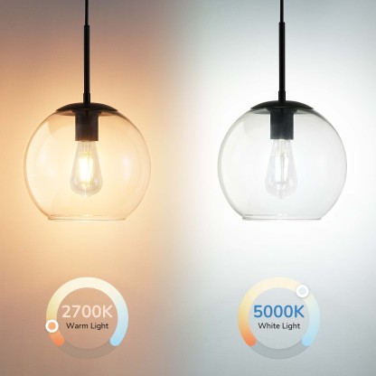 EDISHINE 1- Single Pendant Light With Clear Glass Shade-HWPL01C