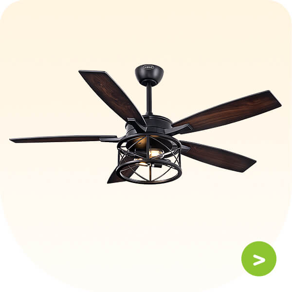 Ceiling Fan Light