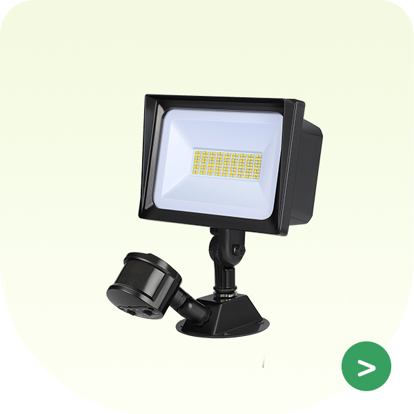 B2B-Flood Light