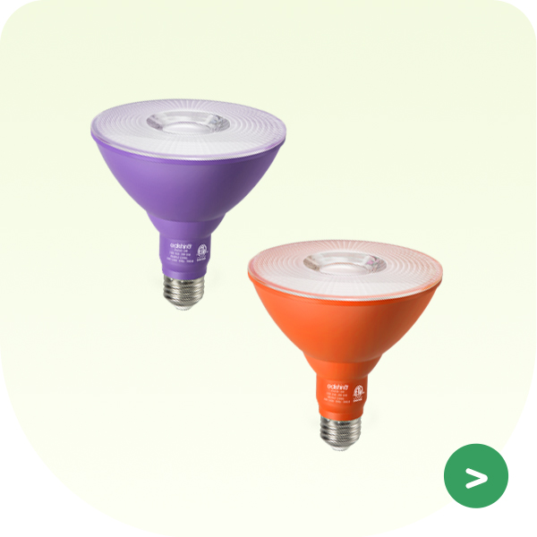 B2B-Flood Light Bulbs