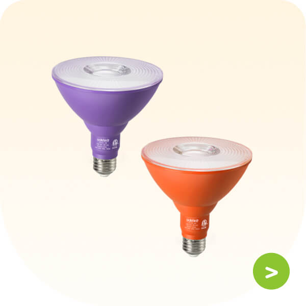 Flood Light Bulb