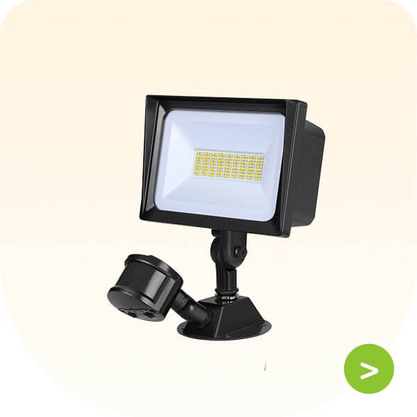 Flood Light