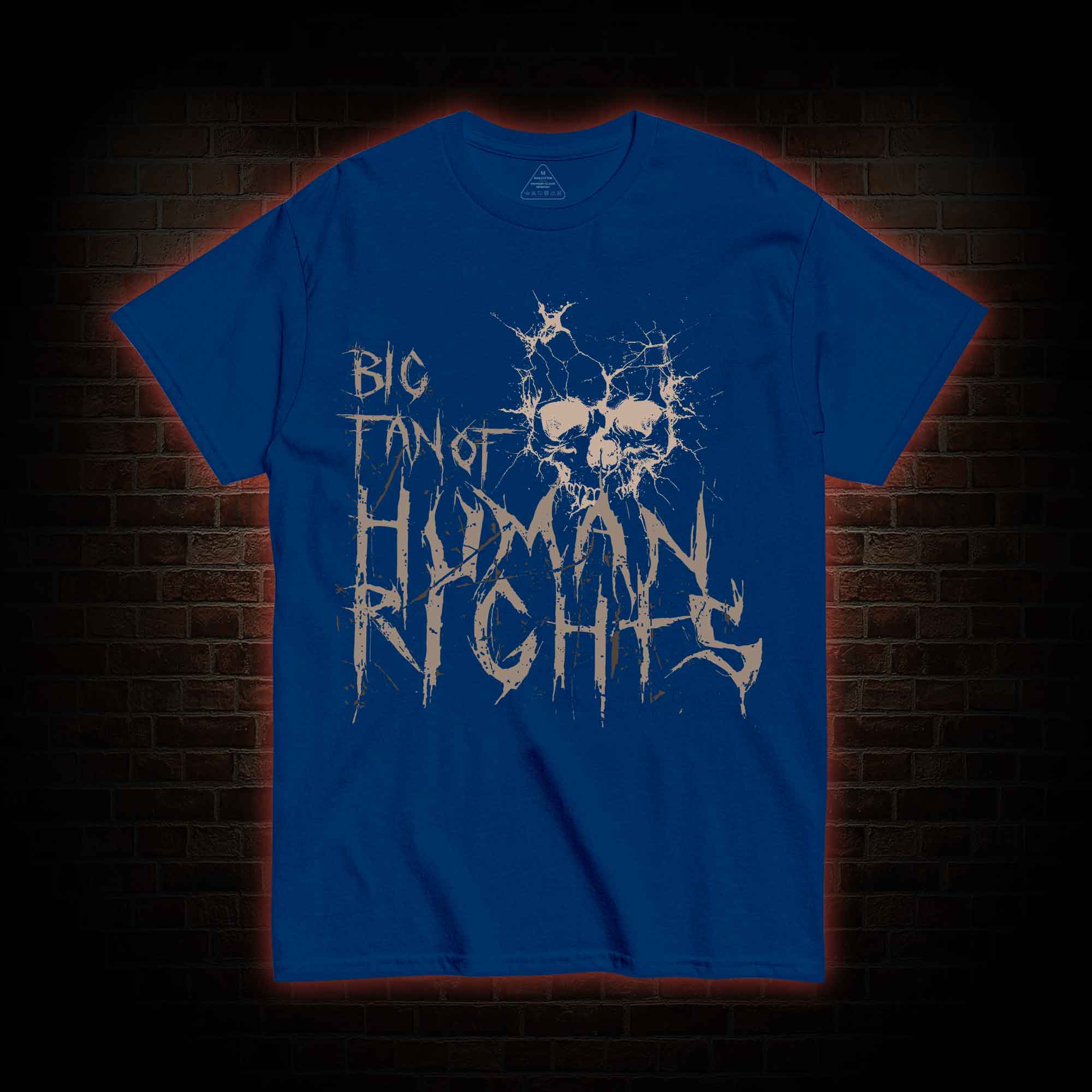 Big Fan of Human Rights T-shirt