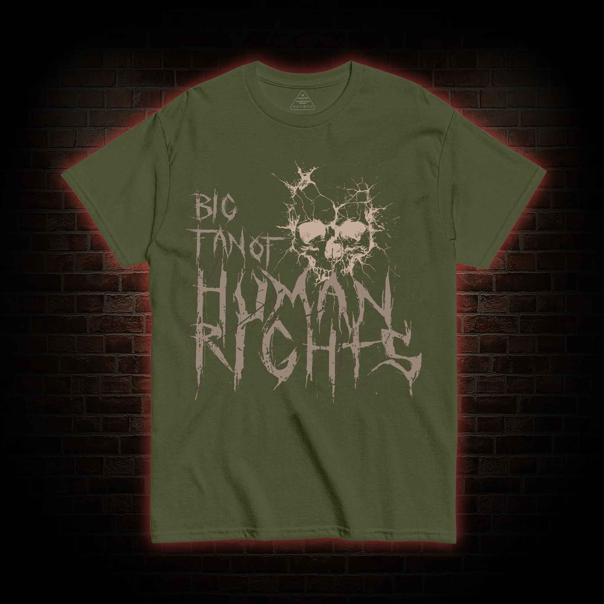 Big Fan of Human Rights T-shirt